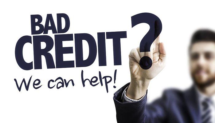 All you need to know about Company Credit Report